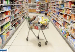 طرح جدید آماده اجرا؛ یارانه نقدی جای خود را به تخفیف مستقیم می‌دهد؟