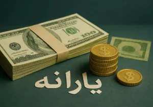 اختلاف یارانه نقدی ایران و عربستان؛ شهروندان سعودی چقدر دریافت می‌کنند؟