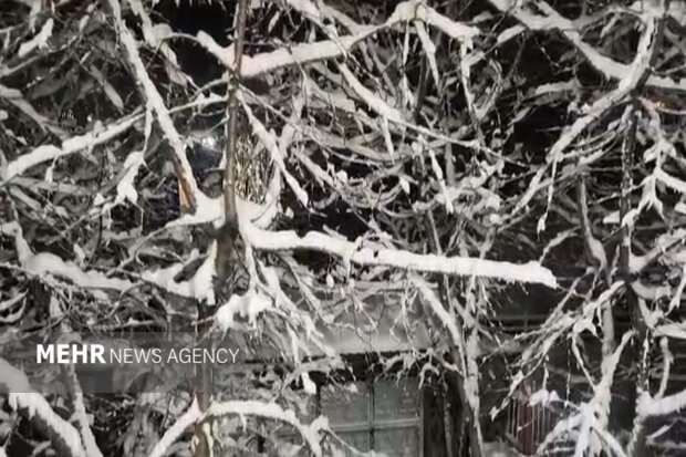 بارش برف در ایوان استان ایلام