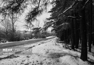 بارش برف در گردنه الماس