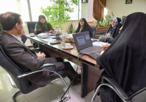 تحلیل و بررسی کارنامه عملکرد دستگاه‌های اجرایی در حوزه عدالت جنسیتی