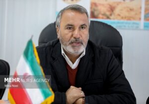 رضایی‌کوچی: کاهش بودجه فرهنگ مستقیماً بر قدرت نرم کشور اثرگذار است