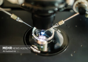 تأثیر مصرف دخانیات و الکل بر بارداری و موفقیت IVF