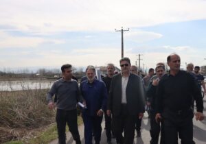 آقایی: تخلفات برخی اعضای شورا در اجرای طرح هادی جیرهنده مشهود است