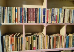 چرا بعضی کتاب‌ها کمیاب یا نایاب می‌شوند؟