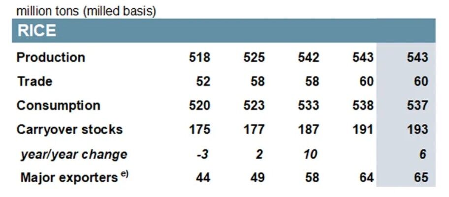 چشم انداز تولید غلات در ۲۰۲۶؛ تجارت برنج به اوج خود می رسد چشم انداز تولید غلات در ۲۰۲۶؛ تجارت برنج به اوج خود می رسد