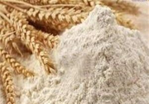روزانه ۲۵۰۰ تن آرد در استان تهران توزیع میشود
