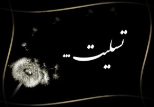 شهادت دانشجوی پزشکی در بمباران میدان انقلاب