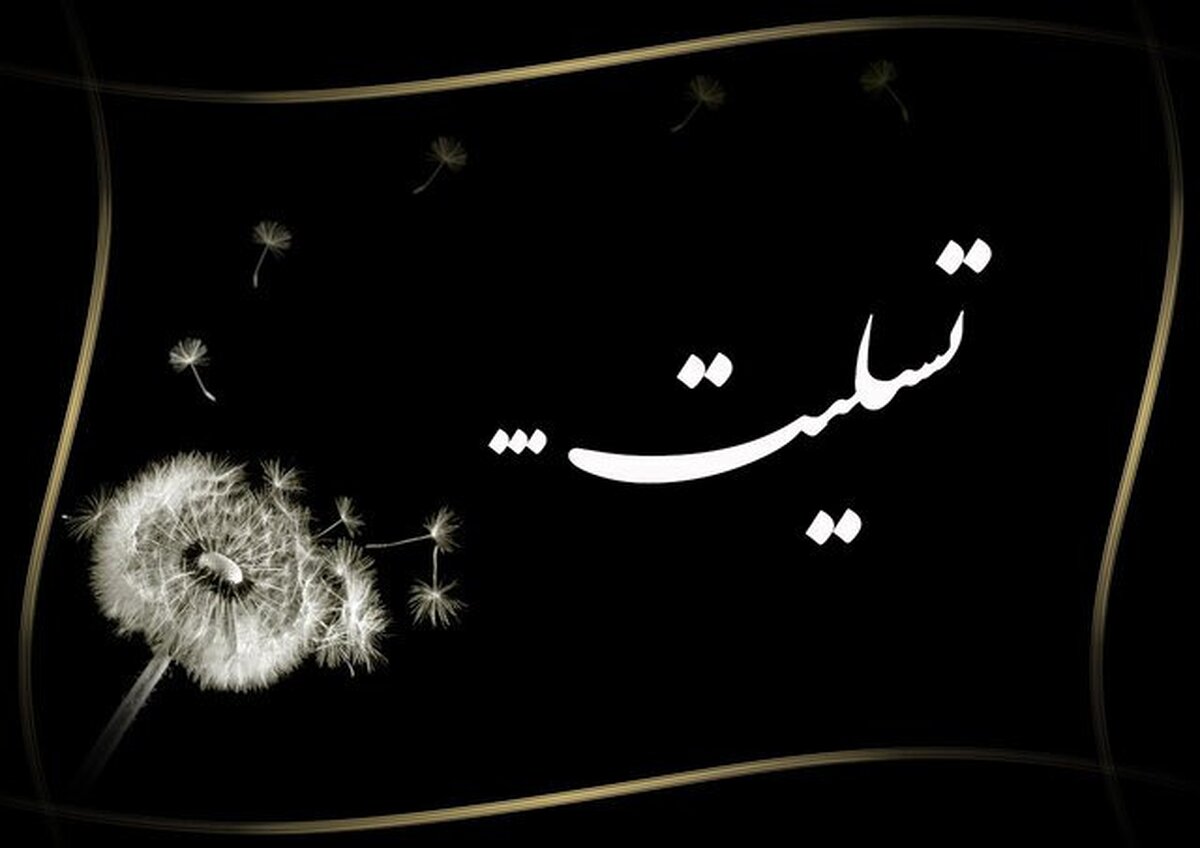 شهادت دانشجوی پزشکی در بمباران میدان انقلاب