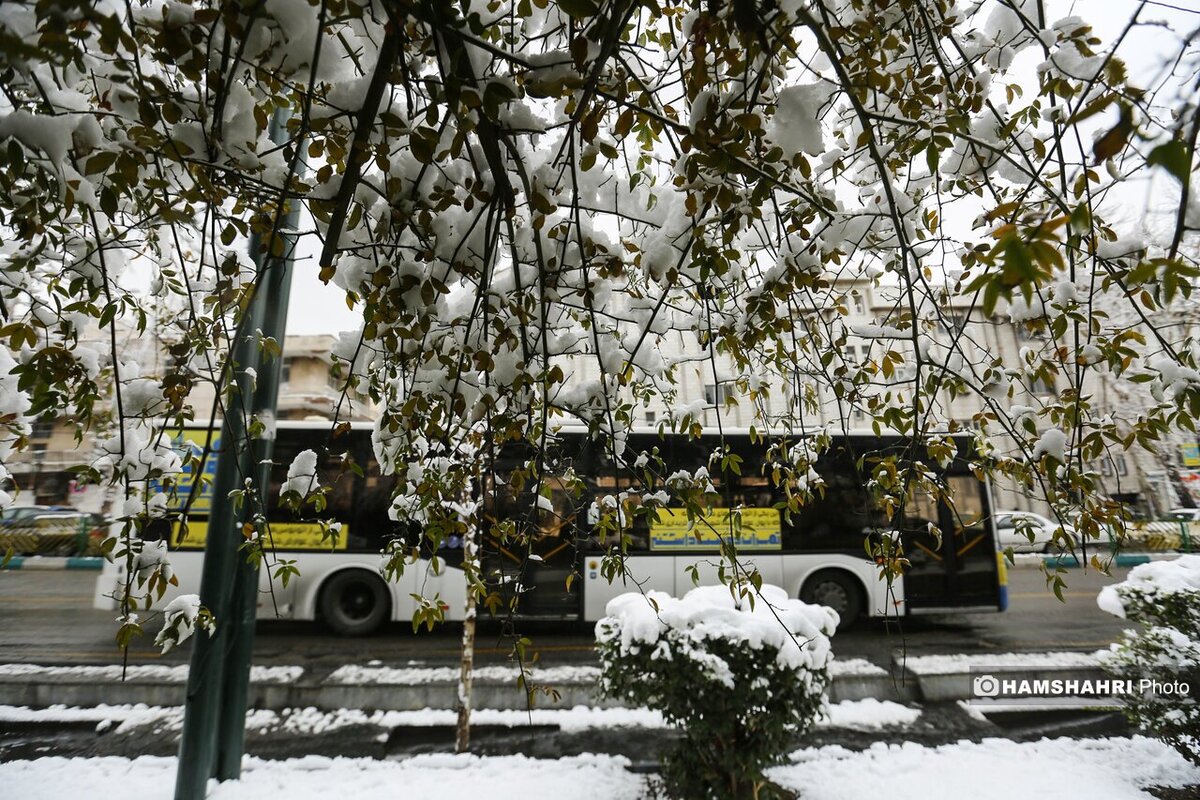 هواشناسی هشدار داد/ بارش‌ها تا پایان هفته در اغلب مناطق ادامه دارد