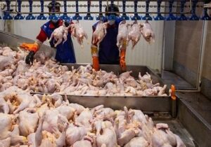 افزایش ۷ درصدی عرضه گوشت مرغ در بهمن ماه