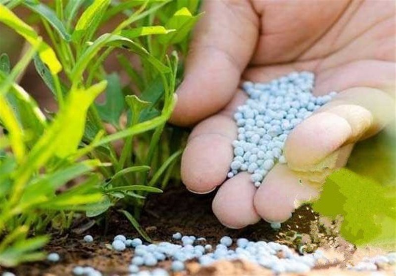 تأثیر تنش درخلیج فارس بر بازارهای جهانی کود شیمیایی و تولید غذا