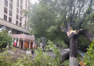 تازه‌ترین آمار از تعداد مصدومان طوفان امروز در تهران