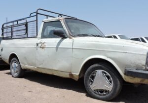 توقیف ۲ وانت مشکوک در میامی؛ ۴۳ رأس دام قاچاق کشف شد