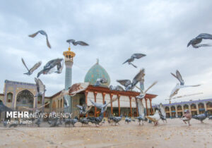 حضرت شاهچراغ(ع) پرچم‌دار جهاد تبیین است