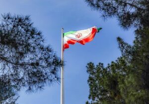 درختی که آغوش گشوده است