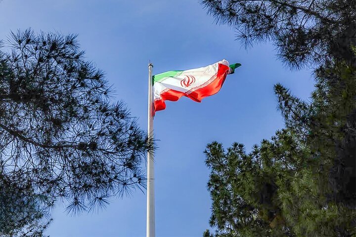 درختی که آغوش گشوده است