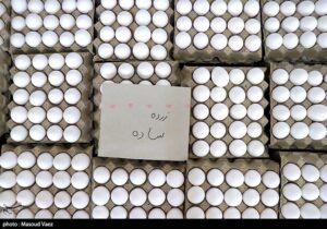 دستور وزیر کشاورزی برای اصلاح قیمت تخم مرغ