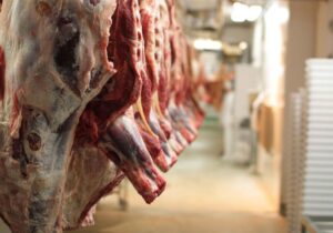 رئیس دامپزشکی سنندج: کشتار غیرمجاز تهدیدی جدی برای سلامت عمومی است