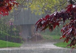 رگبار و باد شدید در راه است/ تهران امروز چه وضعیتی خواهد داشت؟