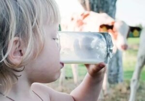 هشدار؛ تب مالت در بهار اوج می‌گیرد