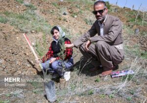 پویش درختکاری نهال امید به نیابت از شهدا در مریوان