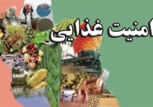 ۸۵ درصد امنیت غذایی کشور داخلی است