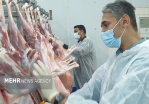 آماده باش سه اکیپ نظارت بهداشتی و شرعی دامپزشکی در کشتارگاه رودان