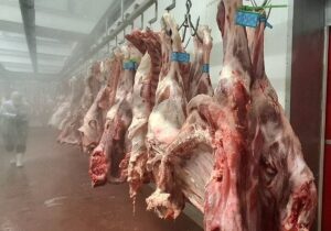 افزایش هزینه بسته‌بندی گوشت چقدر روی قیمت اثر دارد؟ / دبیر انجمن تولید و بسته‌بندی گوشت توضیح داد