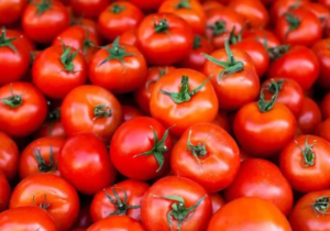 بازار صادراتی جان گرفت / دستور تازه گمرک برای خروج آزادانه سه کالای حساس