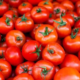 بازار صادراتی جان گرفت / دستور تازه گمرک برای خروج آزادانه سه کالای حساس