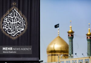 بازخوانی دکترین وکالت و مواسات در سیره امام جواد (ع)