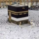 تغییرات روند صدور روادید حج تمتع/ ۱۱۵ متقاضی هنوز در انتظار