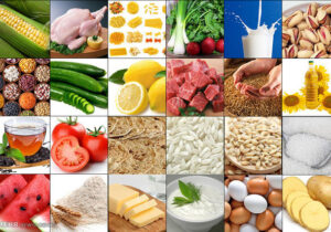 ضرورت ارائه راهکارهای عملیاتی برای امنیت غذایی در شرایط بحران