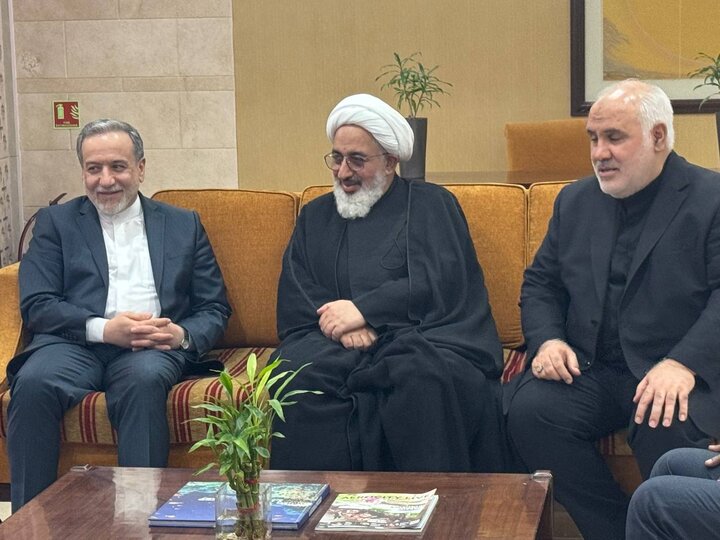 عراقچی وارد هند شد