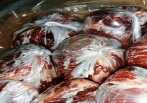 محموله گوشت اسب در سنقروکلیایی معدوم شد