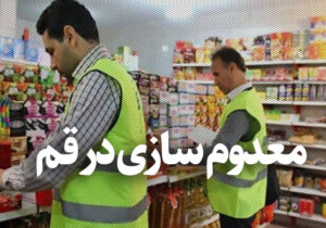 معدوم‌سازی ۳۳۰۰ کیلوگرم گوشت مرغ فاسد در قم