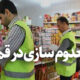 معدوم‌سازی ۳۳۰۰ کیلوگرم گوشت مرغ فاسد در قم