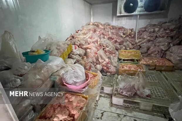 معدومسازی ۷۷۰۰ کیلوگرم مواد خام دامی غیربهداشتی در تبریز
