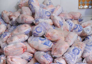 کشف و ضبط ۹۰۰ تُن مرغ منجمد احتکار شده در شیراز