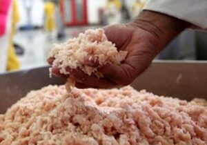 ۱۵ تن خمیر مرغ غیر بهداشتی در شهرضا توقیف شد
