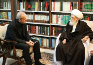 آیت الله نوری همدانی: وحدت حول محور رهبری فصل‌الخطاب است