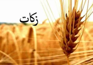ابراهیمی: ترویج فرهنگ زکات در بهاباد به یک رسالت دینی تبدیل شود