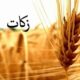 ابراهیمی: ترویج فرهنگ زکات در بهاباد به یک رسالت دینی تبدیل شود
