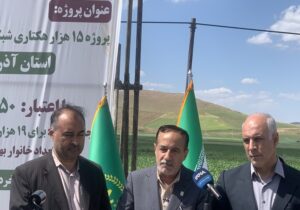 اجرای ۲۲۷ هزار هکتار شبکه آبیاری و زهکشی در ۶ استان غرب کشور