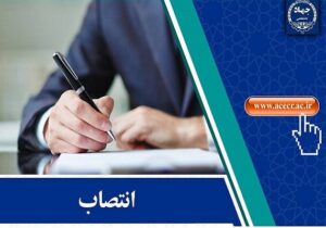 انتصاب مسئول راهاندازی مرکز فناوریهای میدان و موج در علوم شناختی