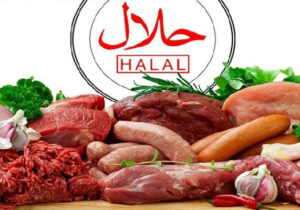 تنها ۳۰ درصد سیاست‌ها عملیاتی می‌شوند؛ تدوین سند ملی حلال