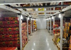 خرما در سردخانه های بم دپو شده است؛ نخل داران در انتظار تدبیر