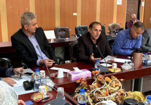 شهیدی: مناسبسازی اماکن برای ایثارگران نیازمند عزم همه دستگاهها است