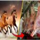 کشف یک تن گوشت اسب در قروه؛ سه متهم دستگیر شدند